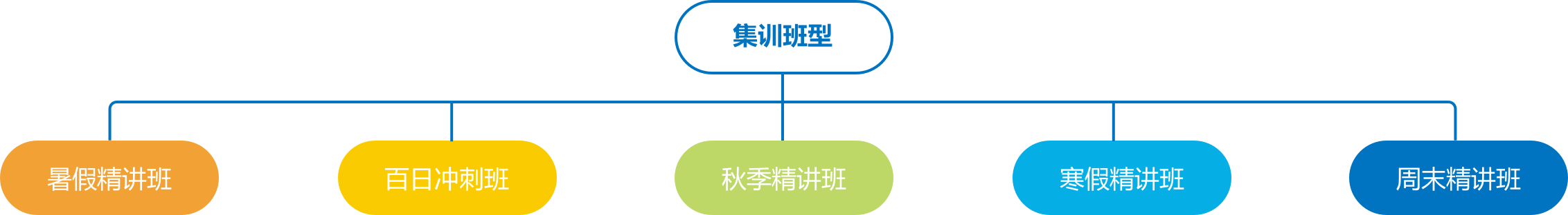 个性化辅导流程图